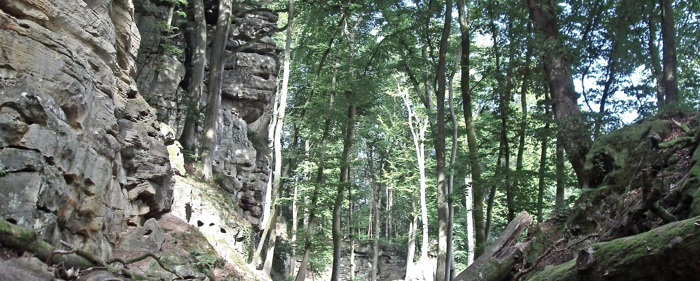 Teufelspfad, © NP Südeifel ZV / Charly Schleder Teufelspfad, © NP Südeifel ZV / Charly Schleder