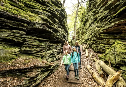 Grüne-Hölle-Tour Bollendorf, © Eifel Tourismus GmbH/Dominik Ketz. Grüne-Hölle-Tour Bollendorf, © Eifel Tourismus GmbH/Dominik Ketz.