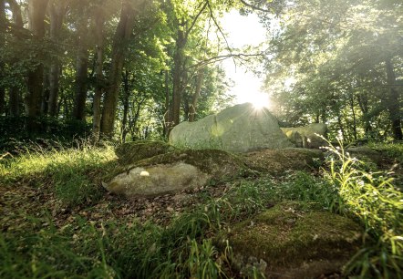 Mystische Stimmung am Steinkistengrab, © Eifel Tourismus GmbH, D. Ketz Mystische Stimmung am Steinkistengrab, © Eifel Tourismus GmbH, D. Ketz
