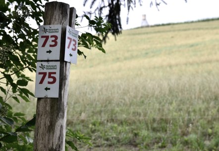 Wegweiser im Naturpark Südeifel zeigt die Nummern 73 und 75. Im Hintergrund ist ein Feld und ein Hochsitz zu sehen., © TI Bitburger Land Wegweiser im Naturpark Südeifel zeigt die Nummern 73 und 75. Im Hintergrund ist ein Feld und ein Hochsitz zu sehen., © TI Bitburger Land