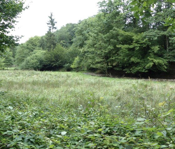 Floodplains, © Tourist-Information Islek Floodplains, © Tourist-Information Islek