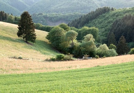 Eifeltal, © V. Teuschler Eifeltal, © V. Teuschler
