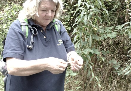 Referentin Rosi Moser, © Ingris Wirtzfeld/Tourist-Information Islek Referentin Rosi Moser, © Ingris Wirtzfeld/Tourist-Information Islek