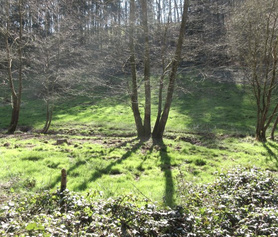 img_8901, © Felsenland Südeifel Tourismus GmbH img_8901, © Felsenland Südeifel Tourismus GmbH