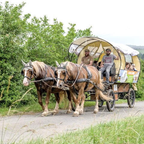 Planwagenfahrt Nengshof, © Carsten Lenz, Nengshof Planwagenfahrt Nengshof, © Carsten Lenz, Nengshof
