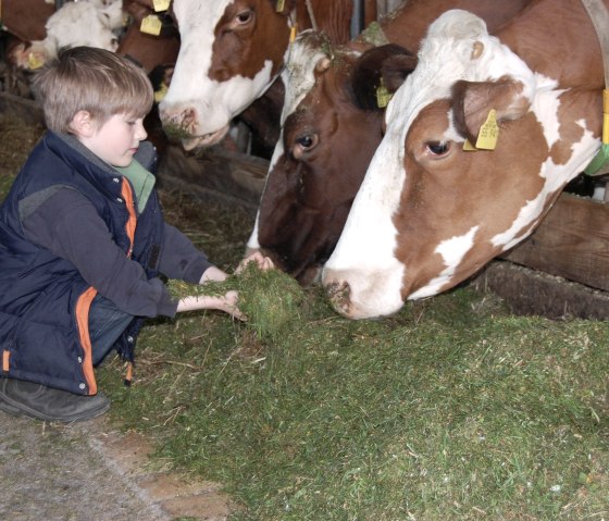 Fütterungszeit Fütterungszeit
