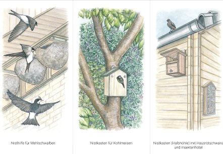 Gartenkultur-Eifel Nisthilfen, © Naturpark Südeifel/Sabine Dubb Gartenkultur-Eifel Nisthilfen, © Naturpark Südeifel/Sabine Dubb