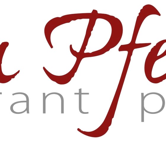 Pfenn Logo mit Sternen Pfenn Logo mit Sternen