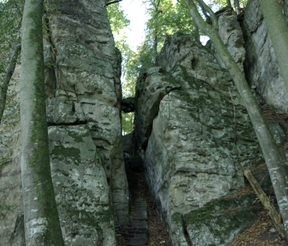 Schmale Schlucht mit steinernen Treppen zwischen hohen Felswänden, umgeben von Bäumen und Laub auf dem Boden., © Felsenland Südeifel Tourismus GmbH Schmale Schlucht mit steinernen Treppen zwischen hohen Felswänden, umgeben von Bäumen und Laub auf dem Boden., © Felsenland Südeifel Tourismus GmbH