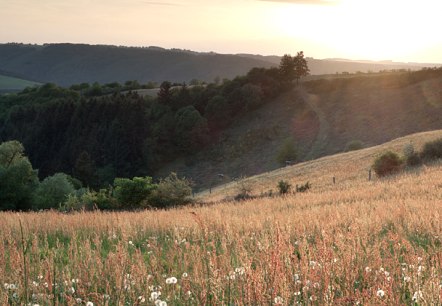 Morgensonne über dem Ourtal, © V. Teuschler Morgensonne über dem Ourtal, © V. Teuschler