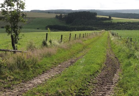 Eifelhöhen, © Volker Teuschler Eifelhöhen, © Volker Teuschler