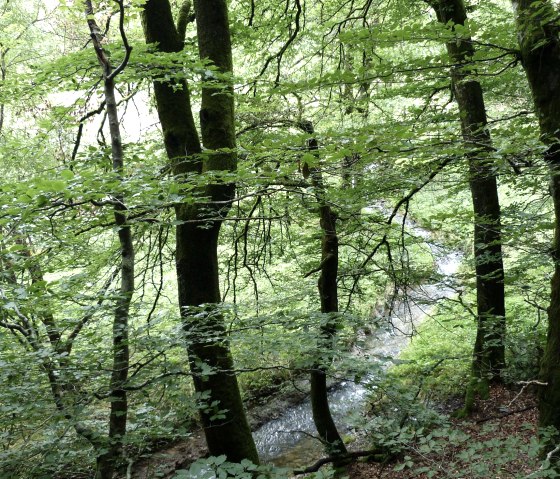 Eschbach, © Tourist-Information Islek Eschbach, © Tourist-Information Islek