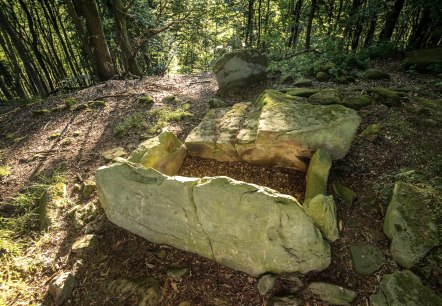 Steinkistengrab bei Schankweiler, © Eifel Tourismus GmbH, D. Ketz Steinkistengrab bei Schankweiler, © Eifel Tourismus GmbH, D. Ketz