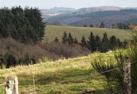 Eifelhöhen bei Arzfeld, © Volker Teuschler Eifelhöhen bei Arzfeld, © Volker Teuschler