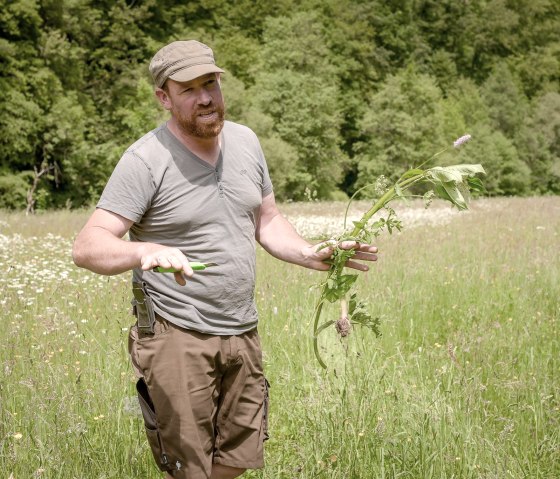 Nengshof-7002 Nengshof-7002