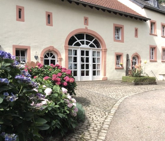 Blühende Hortensien in bunten Beeten Blühende Hortensien in bunten Beeten