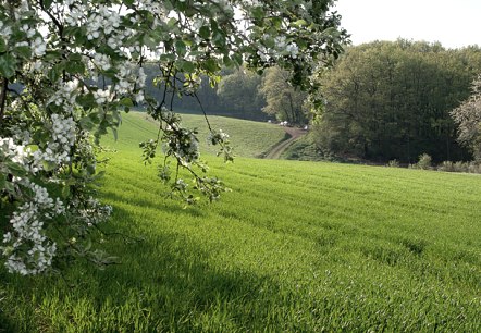 Auf dem Ketteschberg, © V. Teuschler Auf dem Ketteschberg, © V. Teuschler