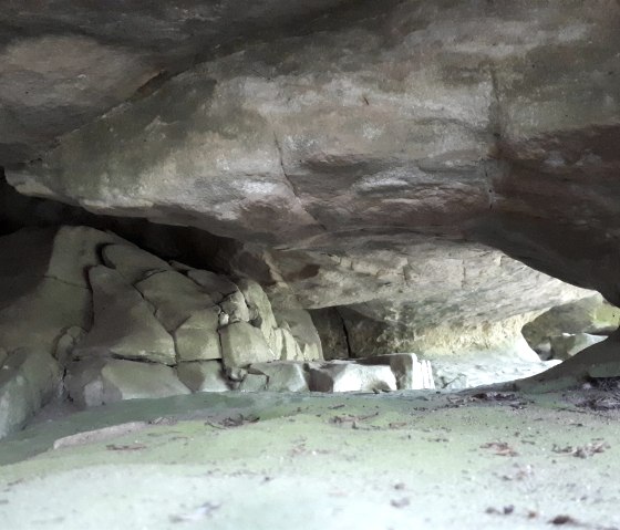 Typisch für die Felsenwege Delux Typisch für die Felsenwege Delux