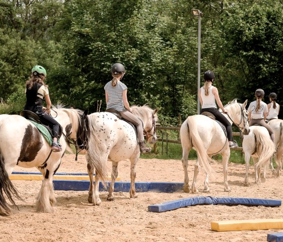 Nengshof-7473 Nengshof-7473