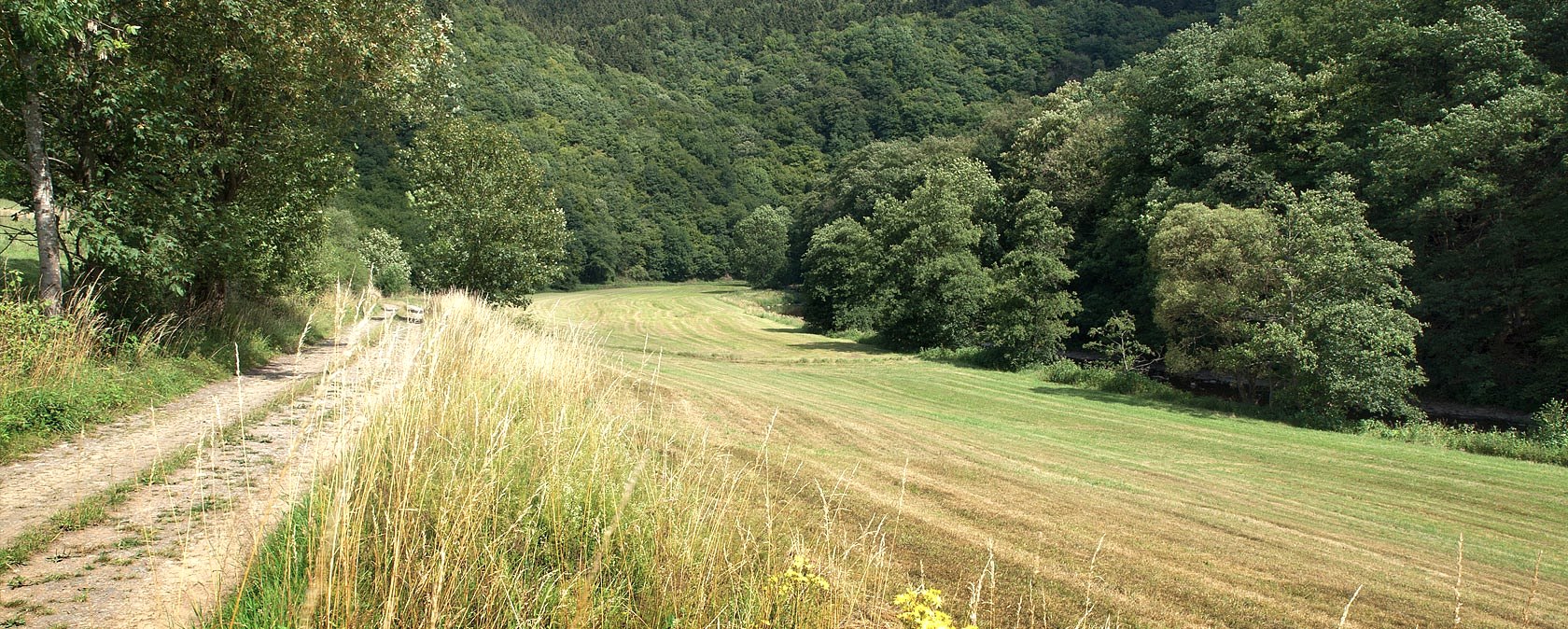 bei Gentingen, © V. Teuschler bei Gentingen, © V. Teuschler