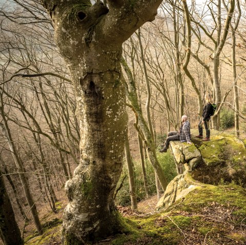 Two people are standing and sitting on a moss-covered rock in a bare forest. The trees are tall and dense, without leaves., © Eifel Tourismus GmbH, D. Ketz Two people are standing and sitting on a moss-covered rock in a bare forest. The trees are tall and dense, without leaves., © Eifel Tourismus GmbH, D. Ketz