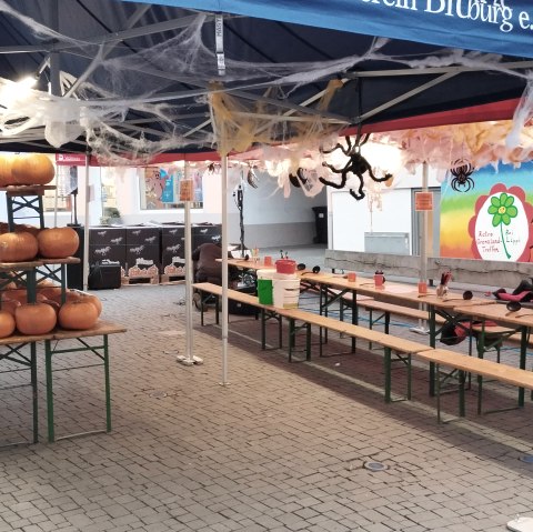 Station Kürbisschnitzen, © TI Bitburger Land Station Kürbisschnitzen, © TI Bitburger Land