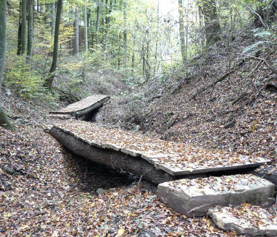 Ein hölzerner Bohlenweg schlängelt sich durch einen herbstlichen Wald, bedeckt mit buntem Laub., © Felsenland Südeifel Tourismus GmbH, Christian Calonec-Rauchfuss Ein hölzerner Bohlenweg schlängelt sich durch einen herbstlichen Wald, bedeckt mit buntem Laub., © Felsenland Südeifel Tourismus GmbH, Christian Calonec-Rauchfuss