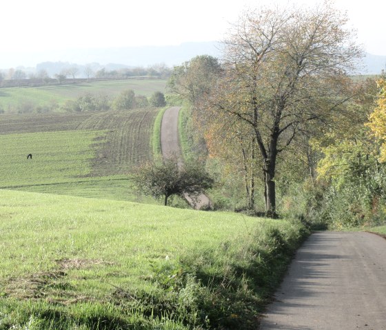 img_8409, © N. Mainz img_8409, © N. Mainz