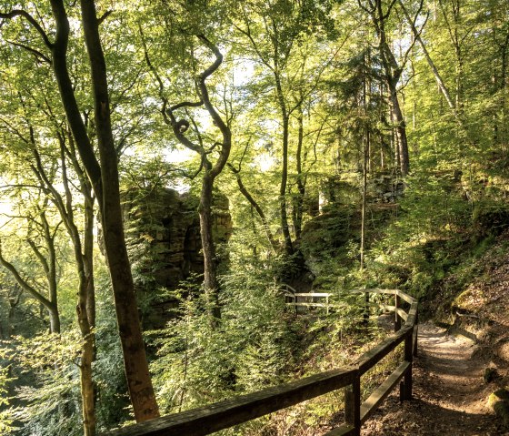 Sonnendurchfluteter Waldweg mit Geländer, umgeben von grünen Bäumen und Felsen, nahe der Teufelsschlucht., © Dominik Ketz Sonnendurchfluteter Waldweg mit Geländer, umgeben von grünen Bäumen und Felsen, nahe der Teufelsschlucht., © Dominik Ketz