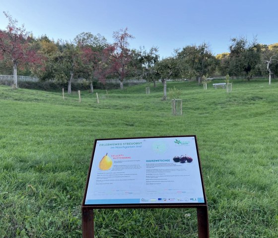 Naschgarten Irrel - Sorteninfo, © Felsenland Südeifel Tourismus, Anna Carina Krebs Naschgarten Irrel - Sorteninfo, © Felsenland Südeifel Tourismus, Anna Carina Krebs