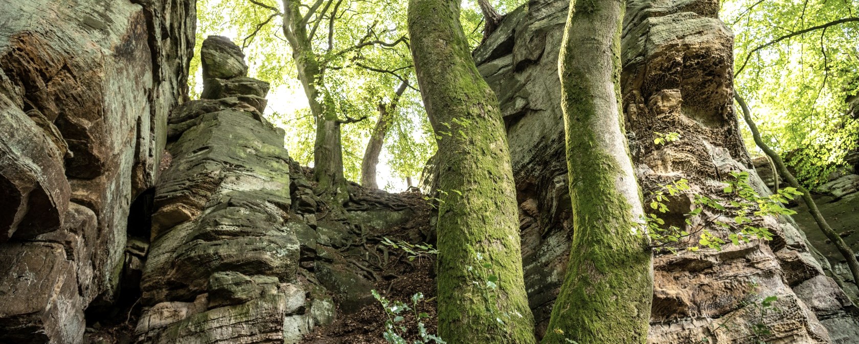 Felsen bei der Mandrack Passage im NaturWanderPark delux, © Eifel Tourismus GmbH, D. Ketz Felsen bei der Mandrack Passage im NaturWanderPark delux, © Eifel Tourismus GmbH, D. Ketz