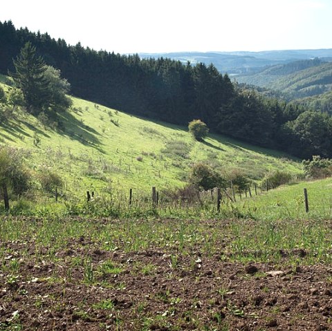 Blick ins Mühlbach-Tal, © Volker Teuschler Blick ins Mühlbach-Tal, © Volker Teuschler