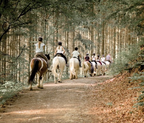 Nengshof-7220 Nengshof-7220