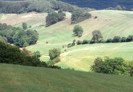 Eifelhöhen bei Plütscheid, © V. Teuschler Eifelhöhen bei Plütscheid, © V. Teuschler