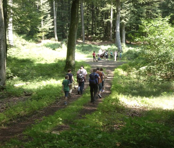 Wanderung, © Norbert Heck Halsdorf Wanderung, © Norbert Heck Halsdorf