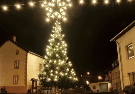Weihnachtsbaum in Waxweiler, © Fritz Knob Weihnachtsbaum in Waxweiler, © Fritz Knob