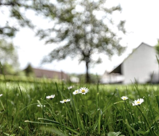 Spielwiese5 Spielwiese5