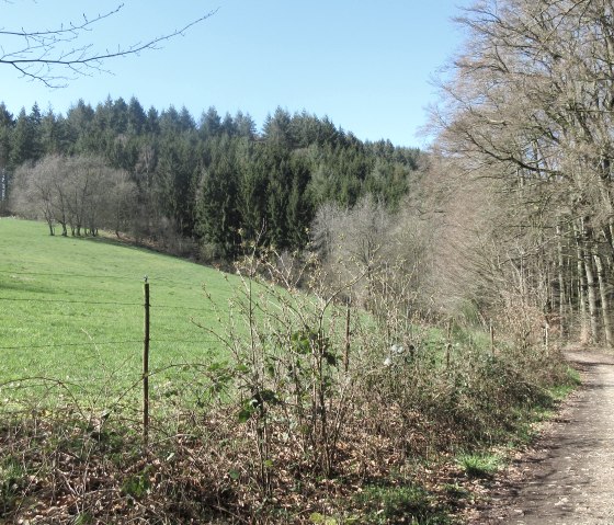 img_8809, © Felsenland Südeifel Tourismus GmbH img_8809, © Felsenland Südeifel Tourismus GmbH