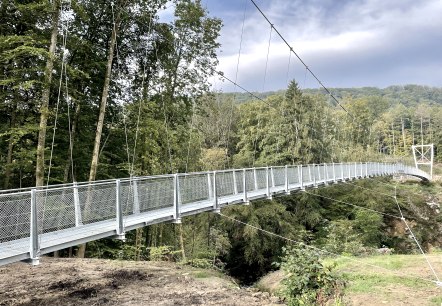 Hängebrücke über den Irreler Wasserfällen., © Naturpark Südeifel/Ansgar Dondelinger Hängebrücke über den Irreler Wasserfällen., © Naturpark Südeifel/Ansgar Dondelinger