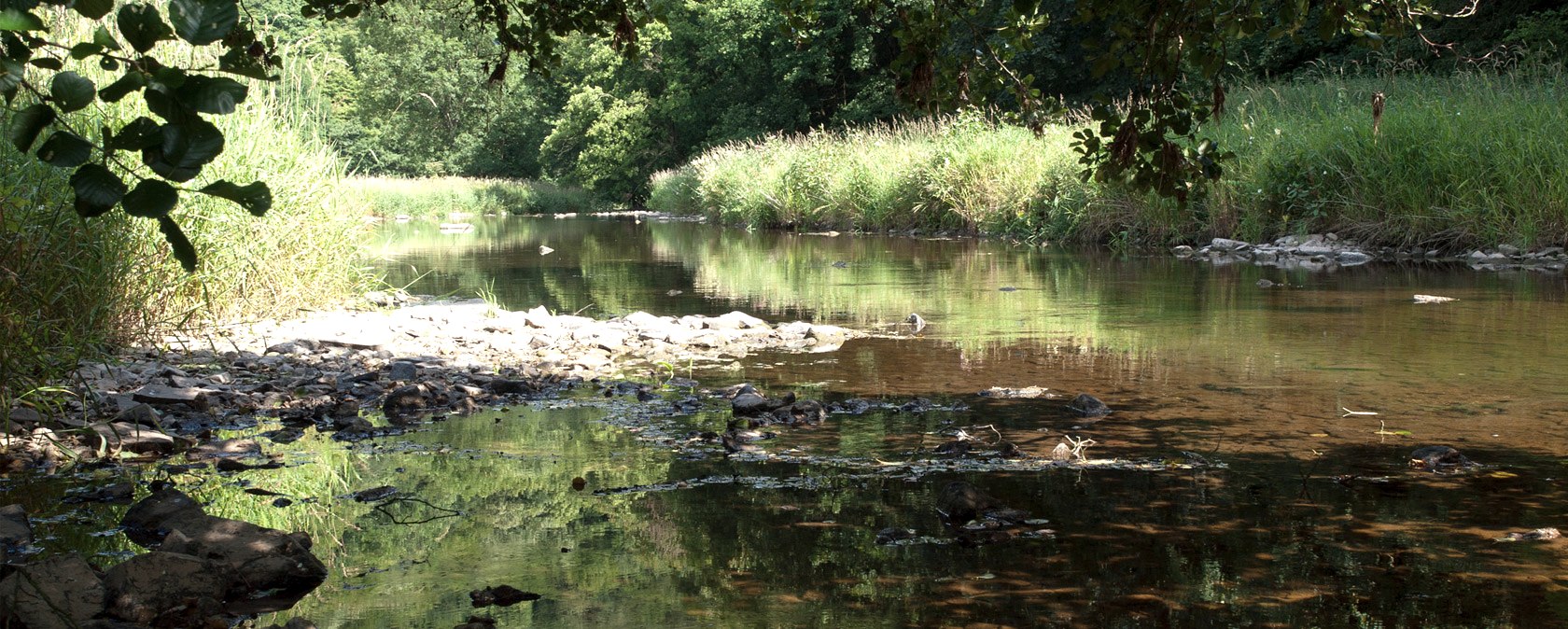 The Prüm near Waxweiler, © V. Teuschler The Prüm near Waxweiler, © V. Teuschler