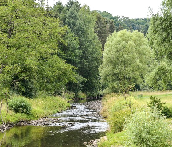 Ein kleiner Fluss schlängelt sich durch eine grüne Landschaft mit Bäumen und Wiesen. Der Himmel ist bewölkt, und das Wasser reflektiert das umgebende Grün., © TI Bitburger Land Ein kleiner Fluss schlängelt sich durch eine grüne Landschaft mit Bäumen und Wiesen. Der Himmel ist bewölkt, und das Wasser reflektiert das umgebende Grün., © TI Bitburger Land