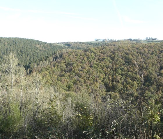 Blick von den Plascheider Höhen auf bewaldete Hügel und Täler unter klarem Himmel., © Christian Calonec-Rauchfuss, Felsenland Südeifel Tourismus GmbH Blick von den Plascheider Höhen auf bewaldete Hügel und Täler unter klarem Himmel., © Christian Calonec-Rauchfuss, Felsenland Südeifel Tourismus GmbH