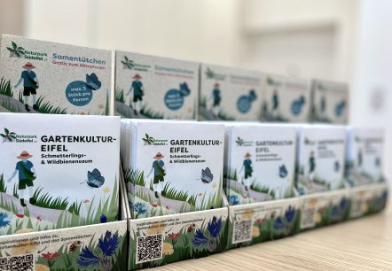 Saatgutmischung Schmetterlings- und Wildbienensaum, © Naturpark Südeifel/Ansgar Dondelinger Saatgutmischung Schmetterlings- und Wildbienensaum, © Naturpark Südeifel/Ansgar Dondelinger