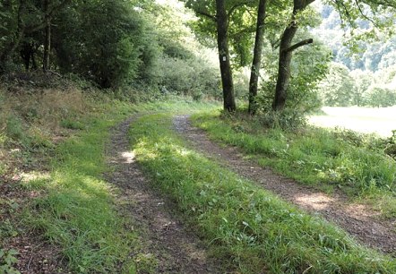 Wanderweg im Ourtal, © V. Teuschler Wanderweg im Ourtal, © V. Teuschler