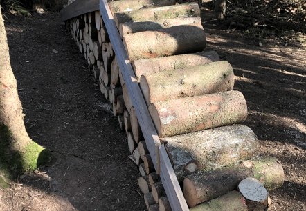 Hundespielplatz Bitburg - Impressionen 2, © Irene Weber Hundespielplatz Bitburg - Impressionen 2, © Irene Weber