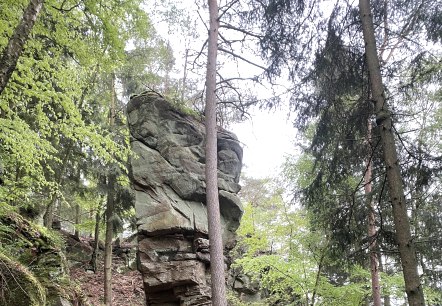 Predigtstuhl, © Felsenland Südeifel Tourismus GmbH, AC Krebs Predigtstuhl, © Felsenland Südeifel Tourismus GmbH, AC Krebs