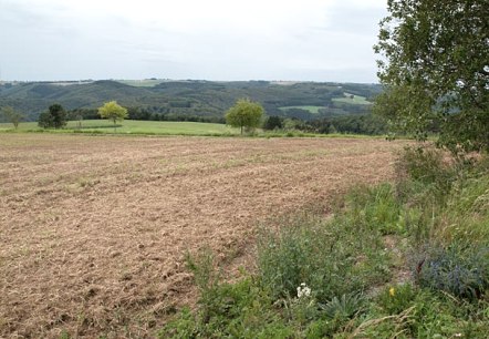 Eifelblick bei Preischeid Eifelblick bei Preischeid