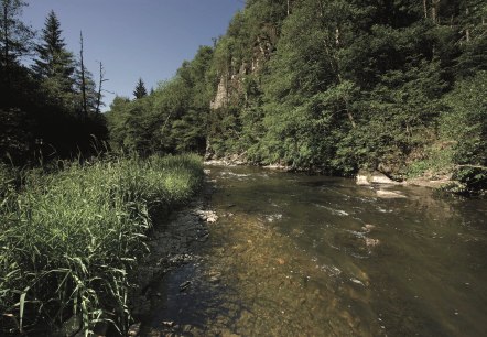 die Our im Sonnenschein, © ZV Naturpark Südeifel, Raymond Clement die Our im Sonnenschein, © ZV Naturpark Südeifel, Raymond Clement