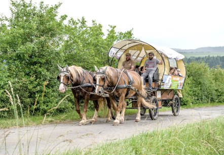 Planwagenfahrt Nengshof, © Carsten Lenz, Nengshof Planwagenfahrt Nengshof, © Carsten Lenz, Nengshof