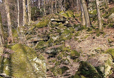 Moosbedeckte Sandsteinstufen führen durch einen herbstlichen Wald. Bäume und Laub umgeben die natürliche Treppe. Moosbedeckte Sandsteinstufen führen durch einen herbstlichen Wald. Bäume und Laub umgeben die natürliche Treppe.